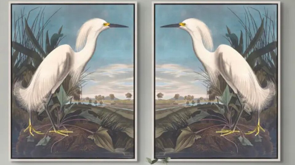 1-2026 Robin - Gallerie Indigo - 2 - Edited