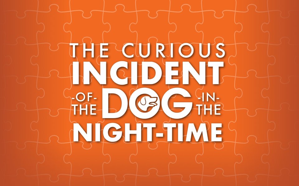Curious Incident Banner
