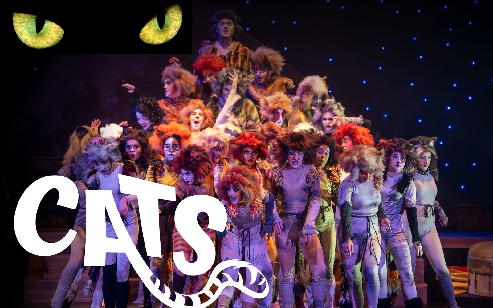 CATS Promo Photo with Logo