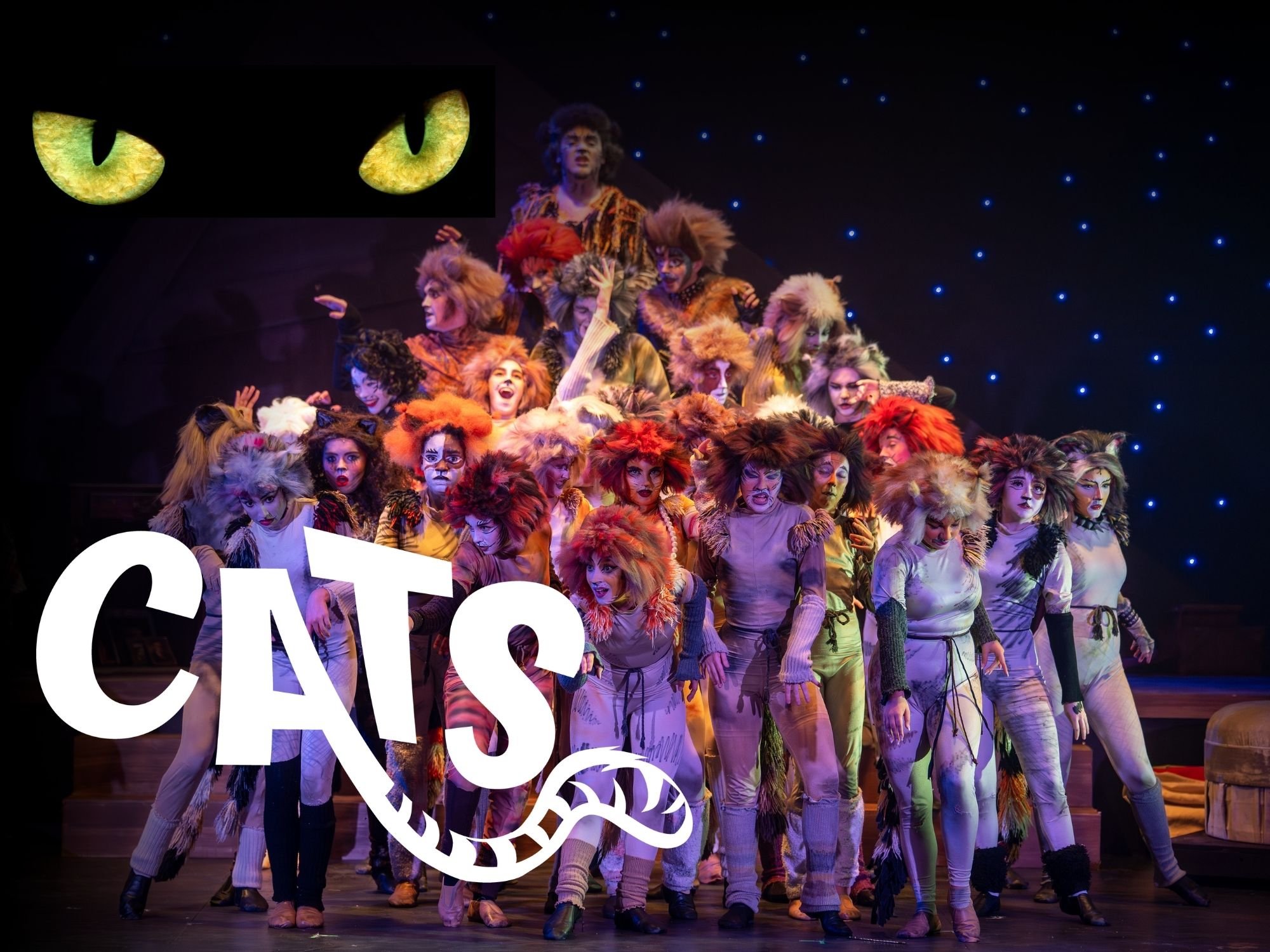 CURE Childhood Cancer Annual Report 2013-2014, image size:2000x1500