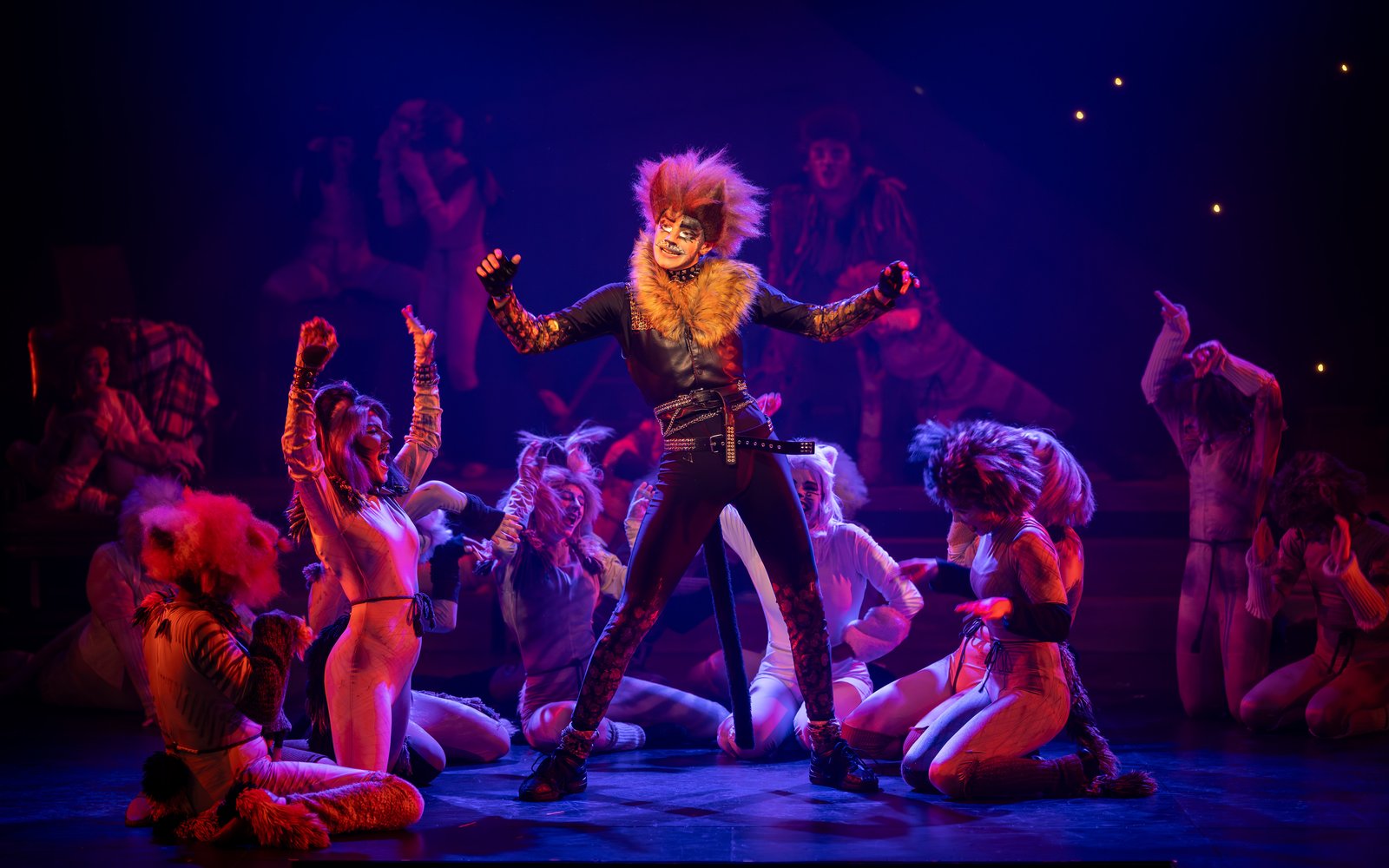 Cast of Cats