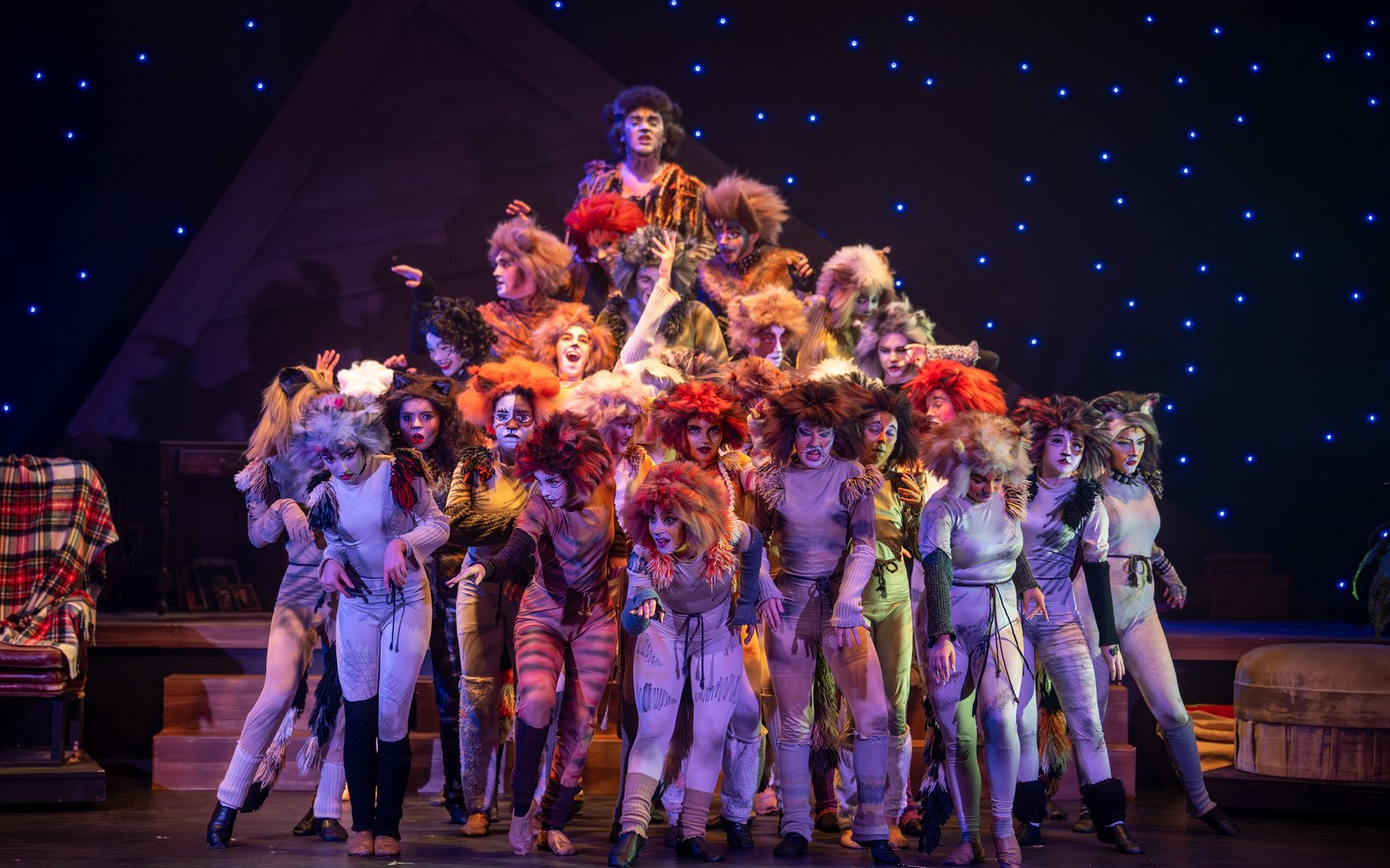 Cast of Cats